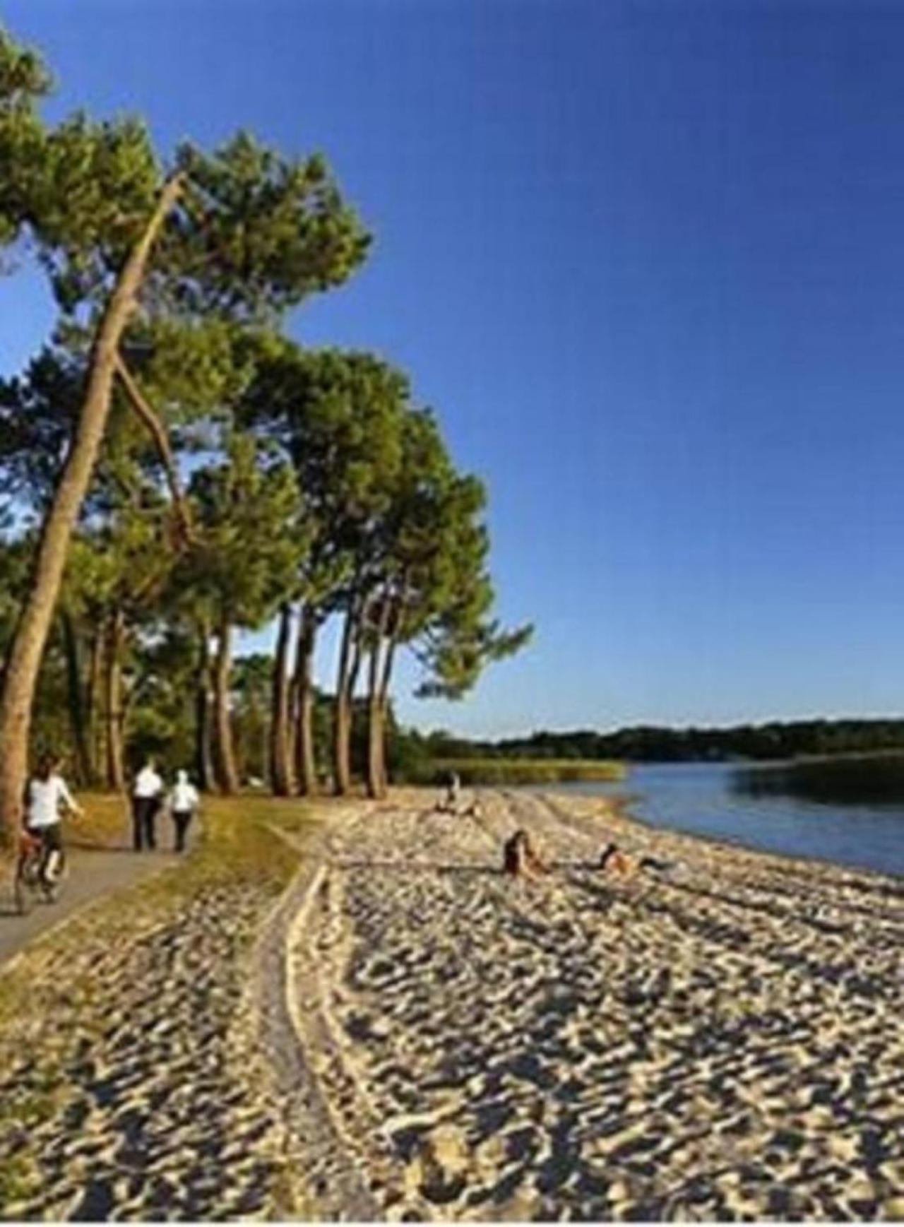 Villa Agreable Maison A 400M Du Lac à Sanguinet Extérieur photo